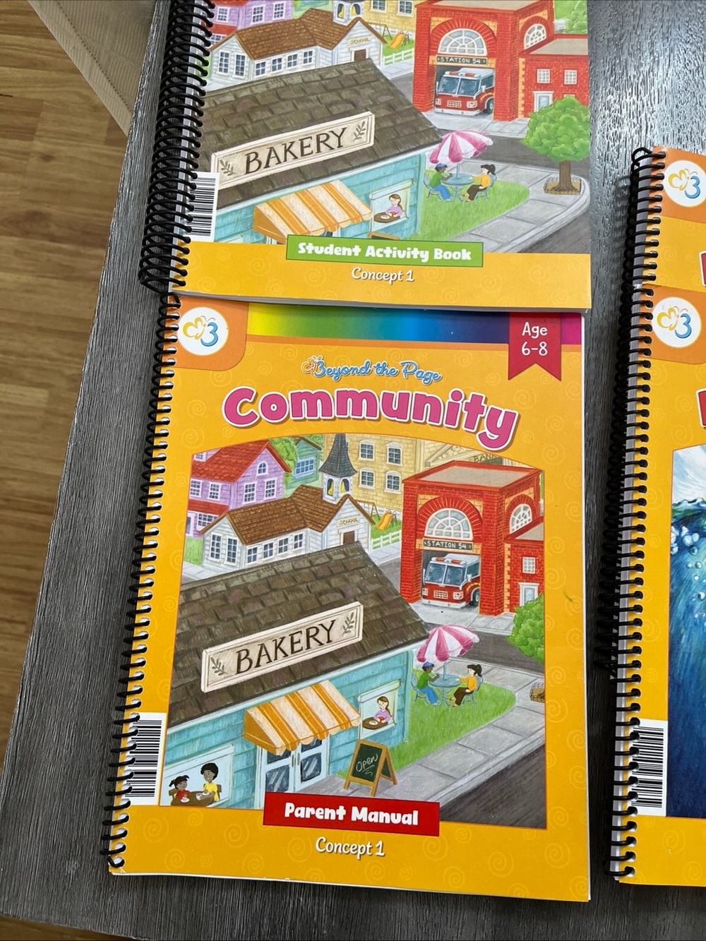 Moving Beyond The Page Homeschooling Curriculum (Set of 4) - Picture 5 of 8